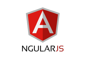 7angular js